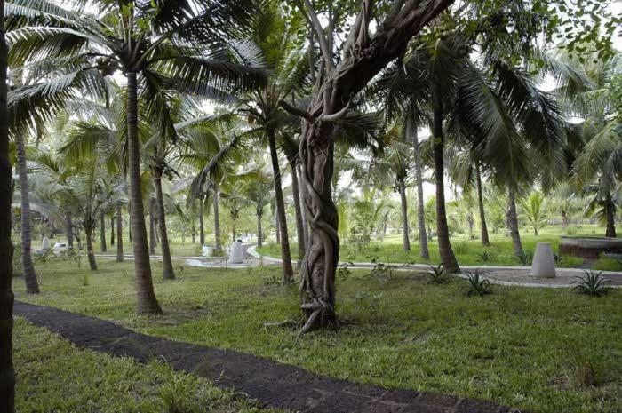 Aashyana Lakhanpal Candolim Exteriör bild